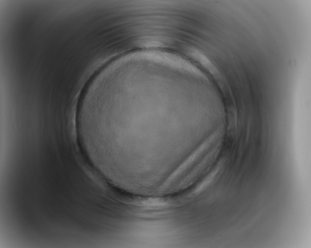 X0000089870986200707191935