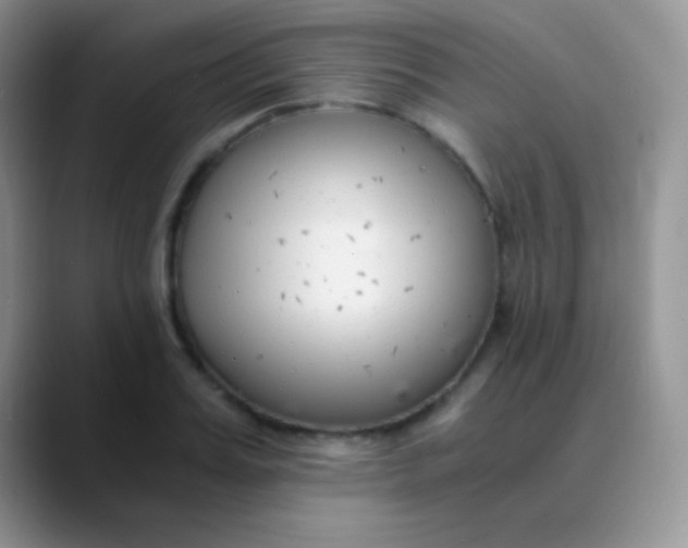 X0000089870987200707191935