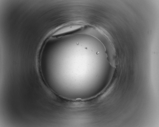 X0000089870989200707191935