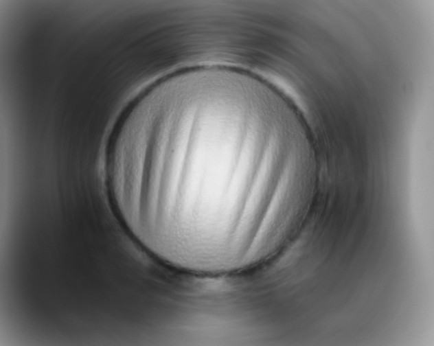 X0000089870990200707191935