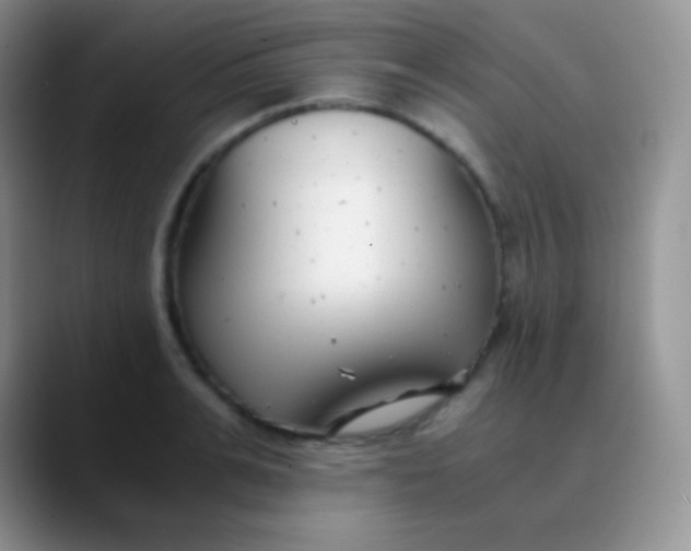 X0000089870991200707191935