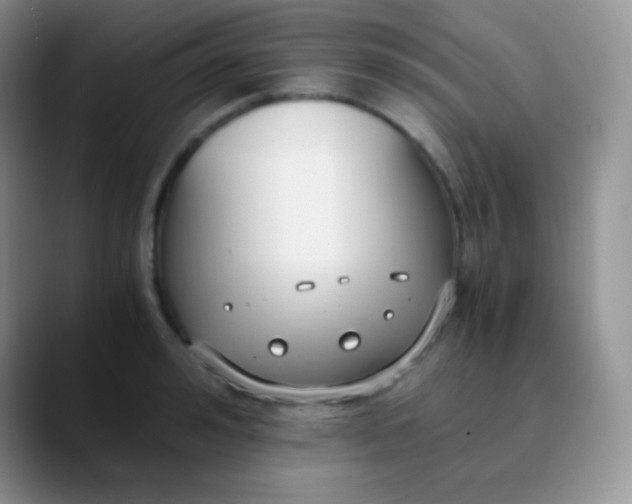 X0000089870992200707191935