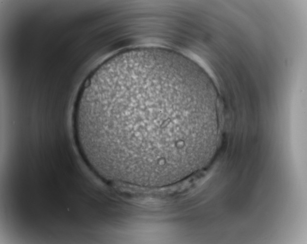 X0000089870995200707191935