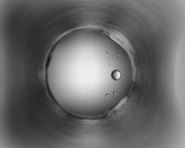 X0000089870996200707191935