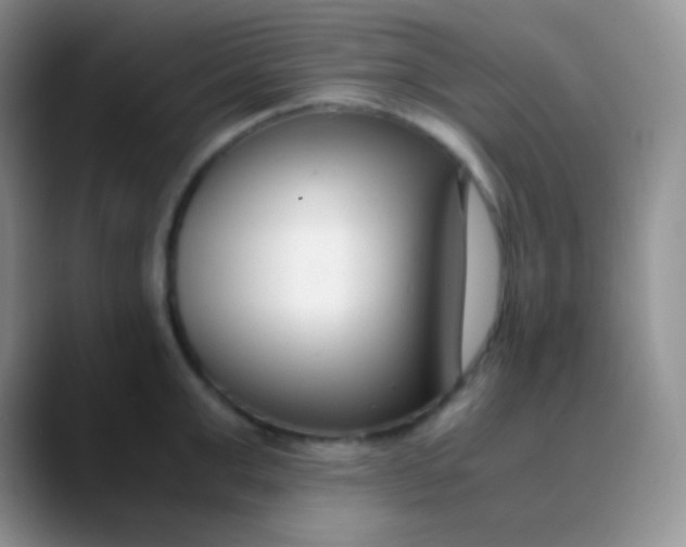 X0000089870999200707191935