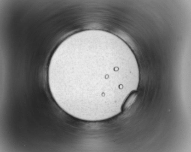 X0000089871000200707191935