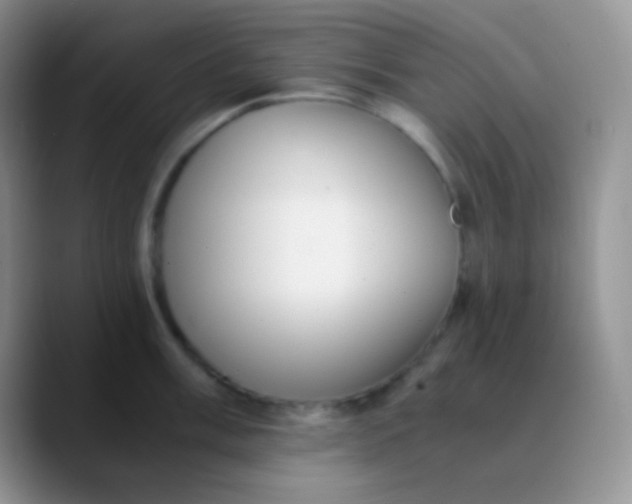 X0000089871003200707191935