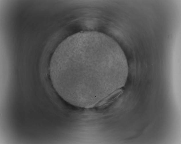 X0000089871009200707191934