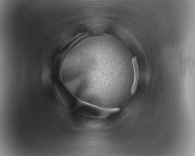 X0000089871010200707191934