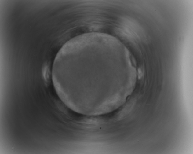 X0000089871011200707191934