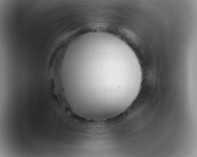 X0000089871016200707191934