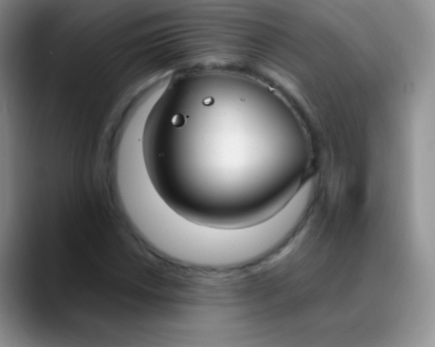 X0000089871018200707191934