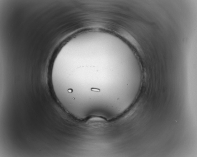 X0000089871020200707191934