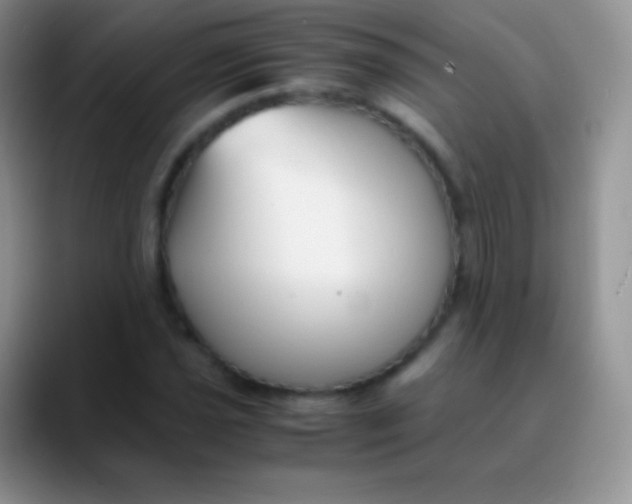 X0000089871021200707191934