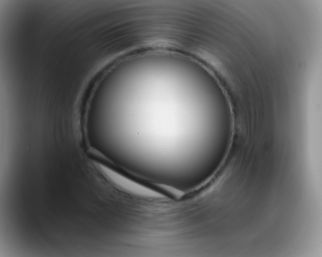 X0000089871022200707191934