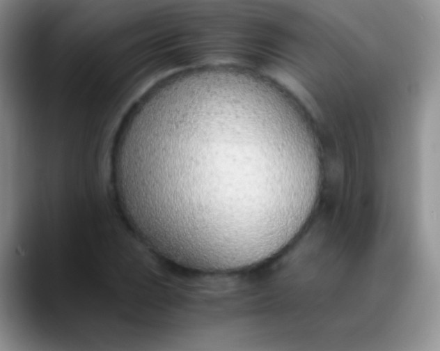 X0000089871023200707191934