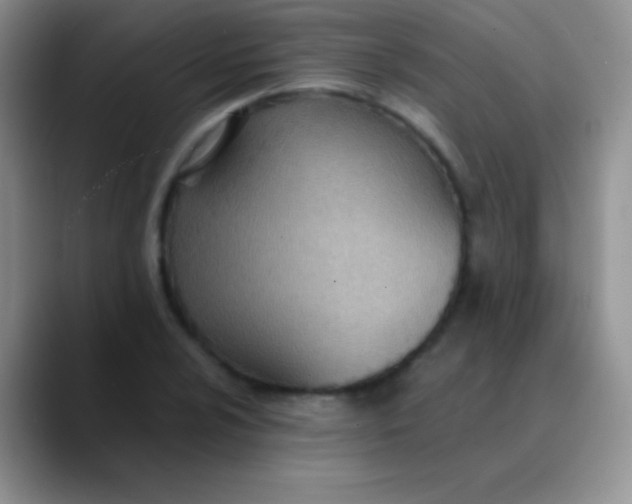 X0000089871024200707191934