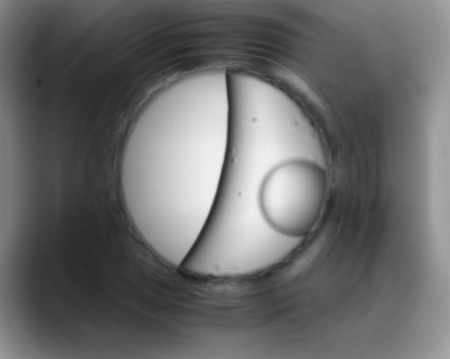 X0000089871025200707191934