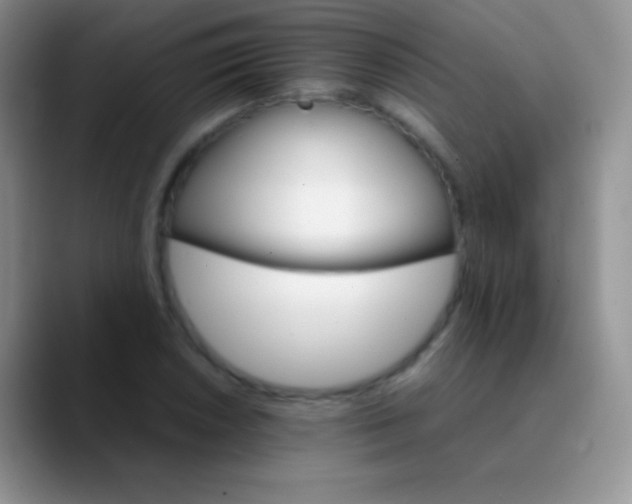 X0000089871026200707191934