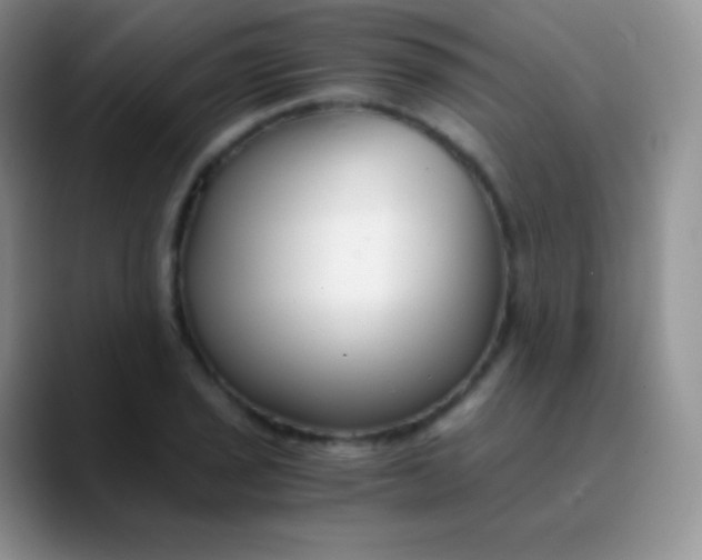 X0000089871029200707191934