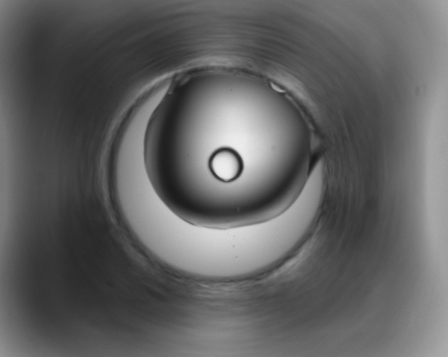 X0000089871030200707191935