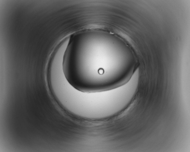 X0000089871034200707191935