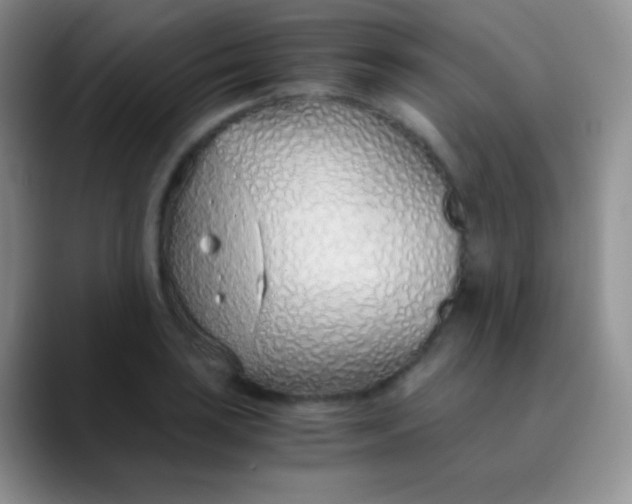 X0000089871035200707191935