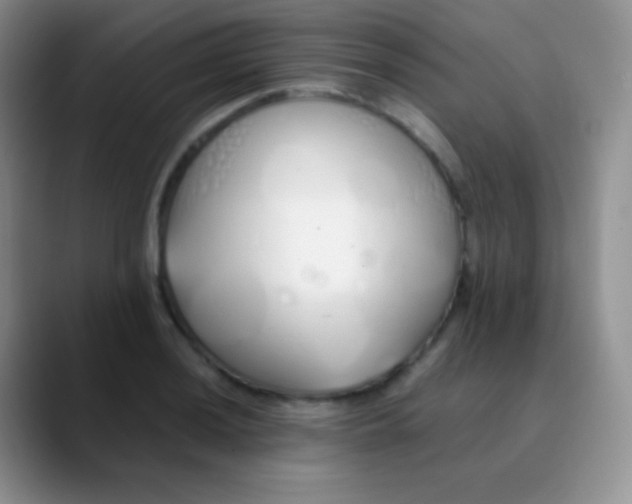 X0000089871036200707191935