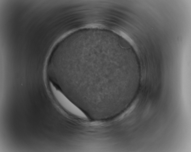 X0000089871037200707191935