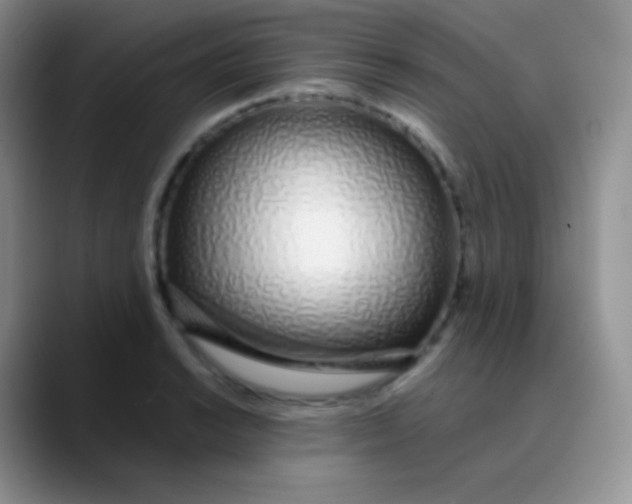 X0000089871038200707191935