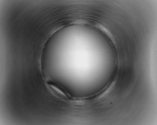 X0000089871041200707191935