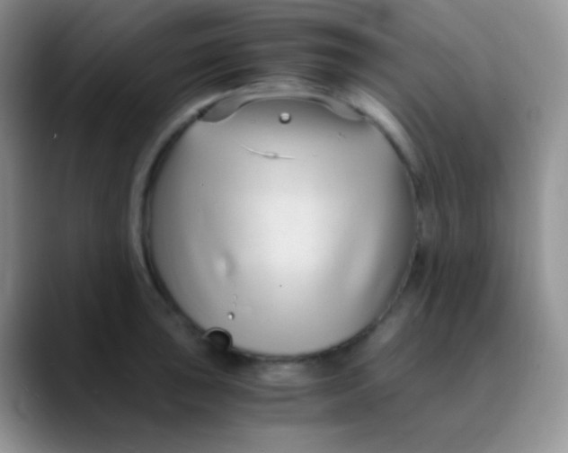 X0000089871043200707191935