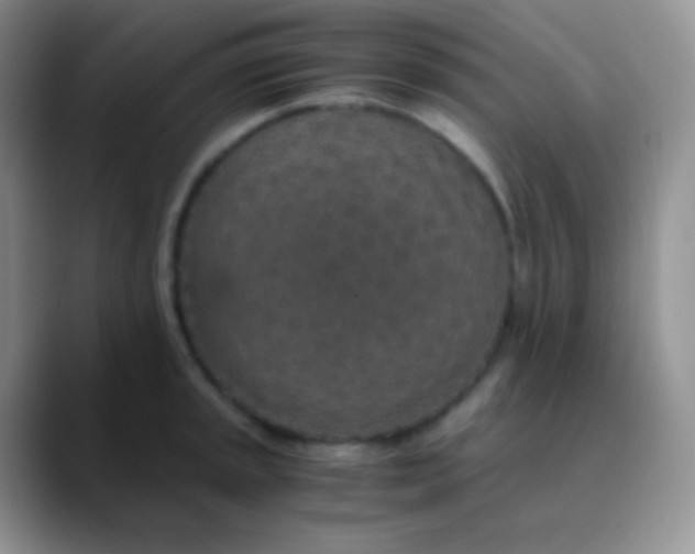 X0000089871045200707191935