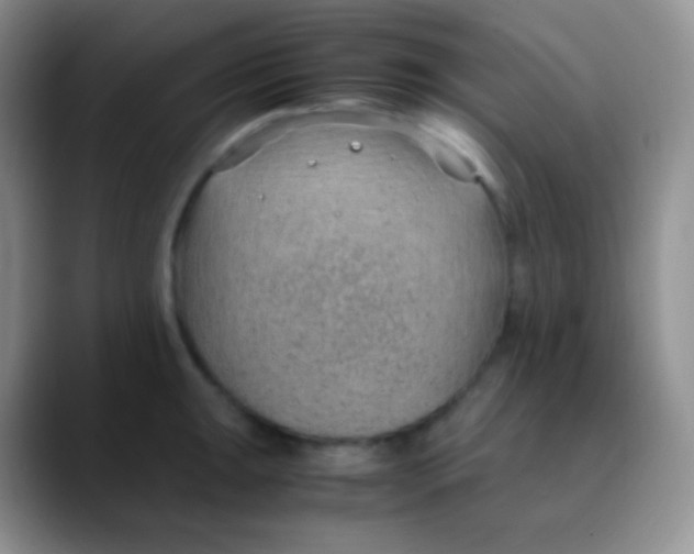 X0000089871047200707191935