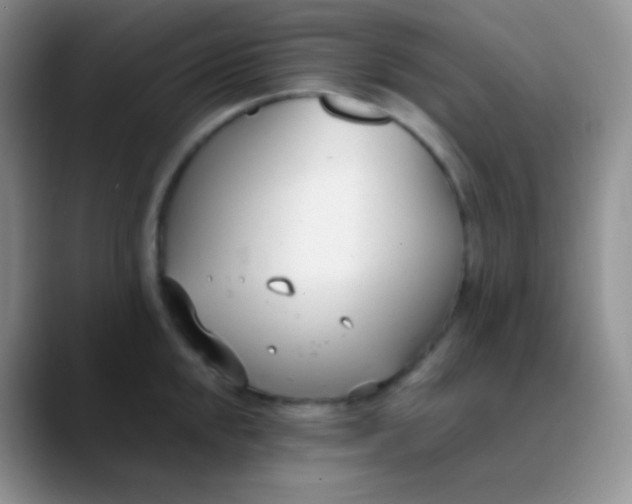 X0000089871048200707191935