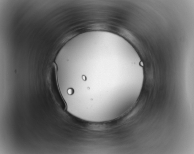 X0000089871049200707191935