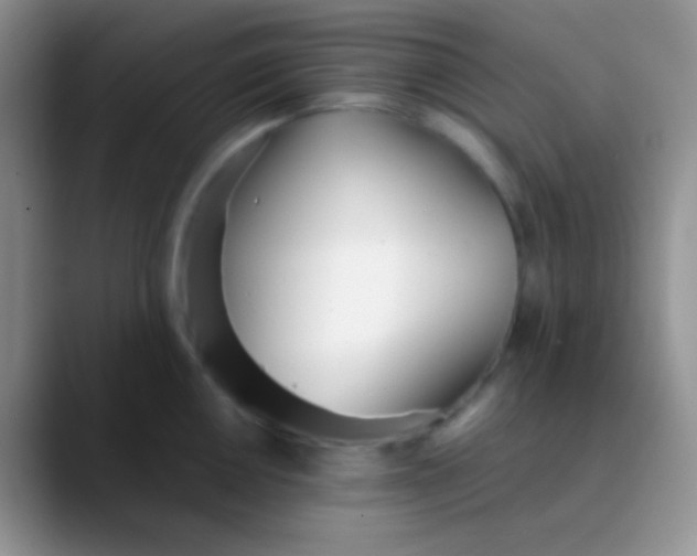 X0000089871050200707191935