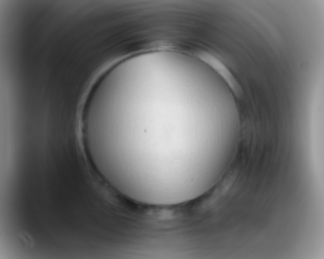 X0000089871051200707191935