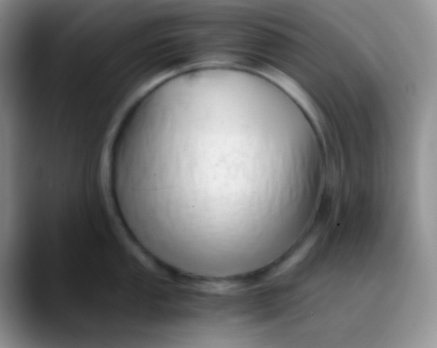 X0000089871053200707191935