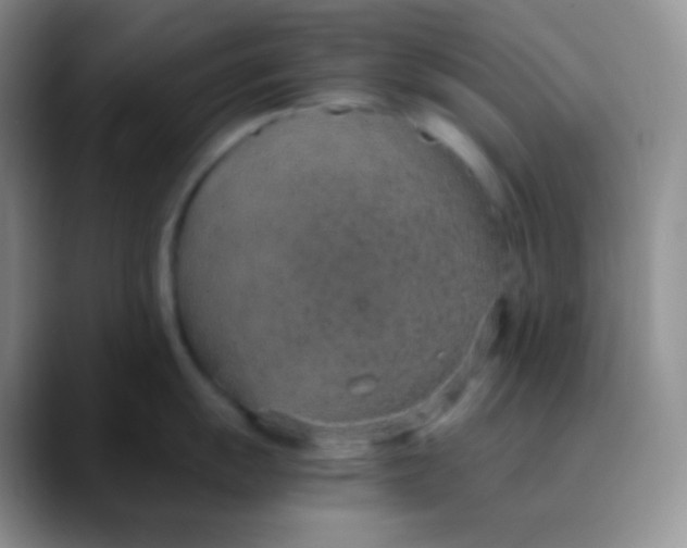 X0000089871055200707191935