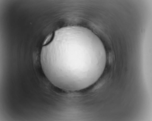 X0000089871059200707191934