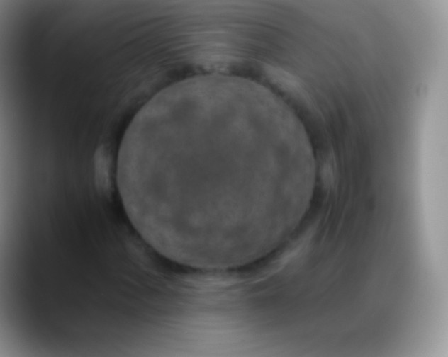 X0000089871060200707191934