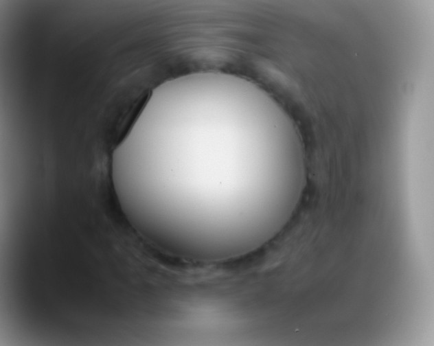 X0000089871061200707191934