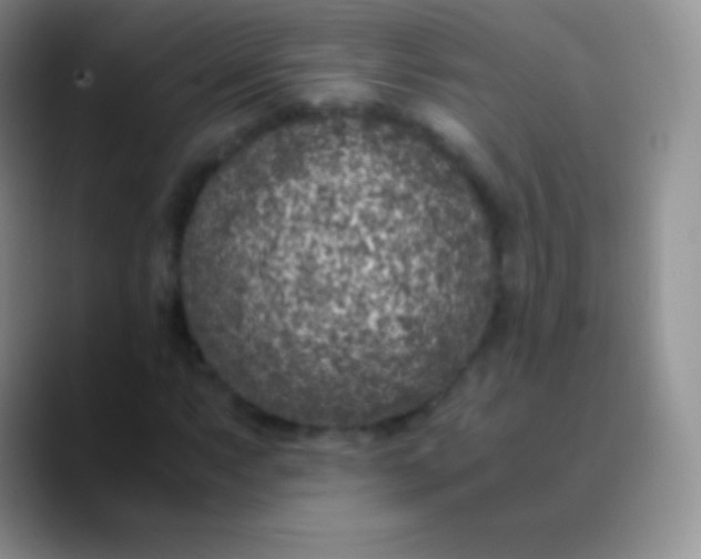 X0000089871063200707191934