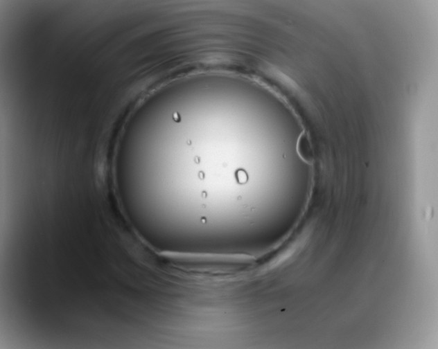 X0000089871065200707191934