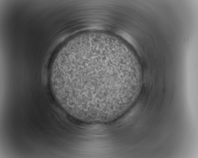 X0000089871067200707191934