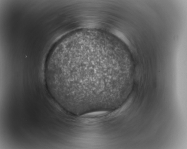 X0000089871071200707191934