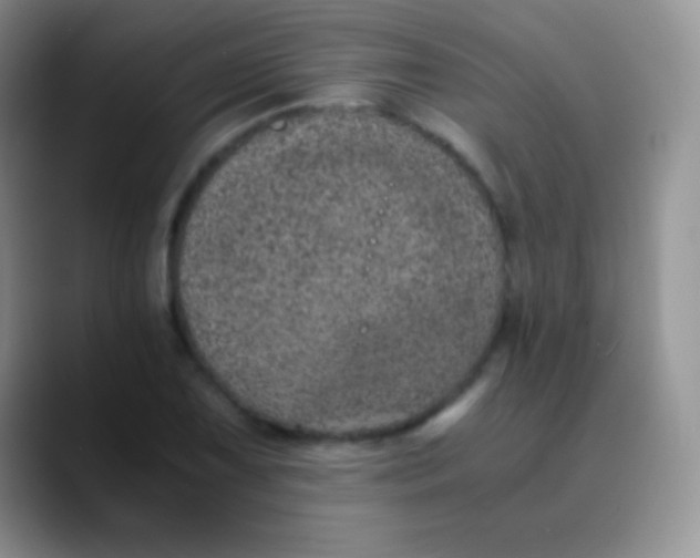 X0000089871075200707191934