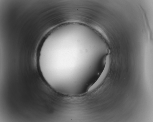 X0000089871076200707191934