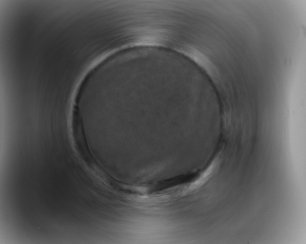 X0000089871077200707191934